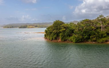 Gatun Gölü kıyıları boyunca bulunan biyolojik çeşitliliğe maruz kalmak, Panama Kanalı 'nın büyük bir bölümü olan Colon, Panama' nın güneyinde bulunan tatlı su yapay gölü.