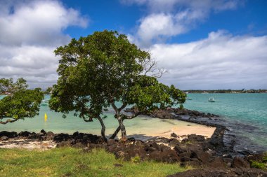 Muhteşem La Cuvette Sahili, yoğun Grand Bay kasabasının merkezinde, kristal berrak su ve güzel mavi tonlarıyla rahatlamak isteyen Mauritius için mükemmel bir tatil yeri.