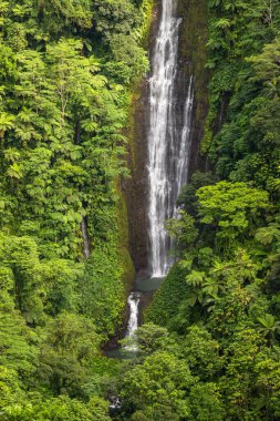 Papapaitai Şelalesinin etrafı yağmur ormanlarıyla çevrili Lotofaga Köyü, Samoa.
