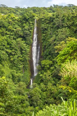 Papapaitai Şelalesinin etrafı yağmur ormanlarıyla çevrili Lotofaga Köyü, Samoa.