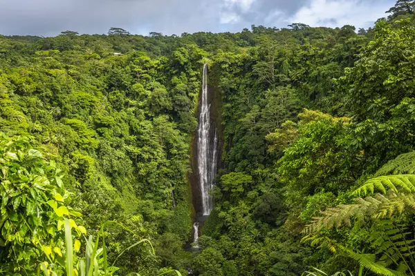 Papapaitai Şelalesinin etrafı yağmur ormanlarıyla çevrili Lotofaga Köyü, Samoa.