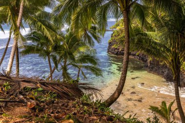 Lotofaga yakınlarındaki adanın güney kıyısında Samoa 'nın inanılmaz kıyı şeridine maruz kalmışlar.