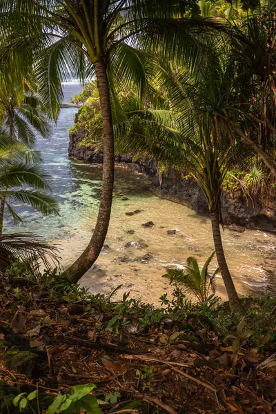 Lotofaga yakınlarındaki adanın güney kıyısında Samoa 'nın inanılmaz kıyı şeridine maruz kalmışlar.
