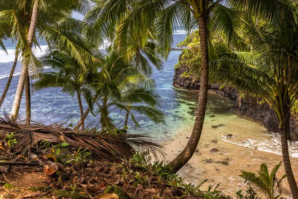 Lotofaga yakınlarındaki adanın güney kıyısında Samoa 'nın inanılmaz kıyı şeridine maruz kalmışlar.