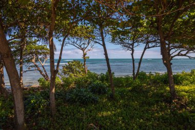 Malecn de Puerto Plata 'dan yapılan Sea View maruziyeti Dominik Cumhuriyeti' nin en güzel sahil bulvarıdır.