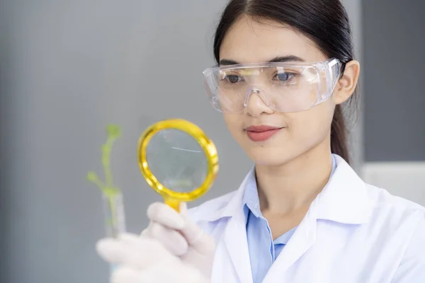 Biologist\'s holding young plant with root in test tube in lab, Biotechnology, plant care and protection concept.