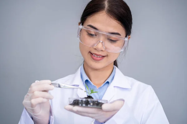 Female scientist holding petri dish with plant and soil sample over white background. Science, biology, ecology and research concept.