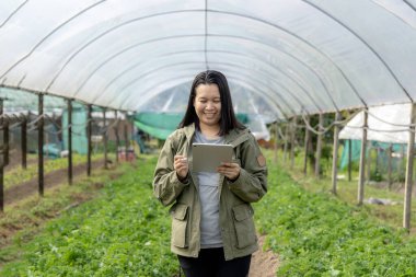 Sebze çiftliğinde çalışan bir bitki araştırmacısı.