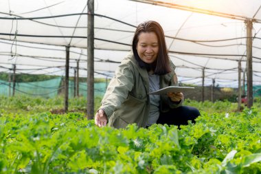 Kadın hidrofonik çiftlikte dijital tabletle çalışıyor.
