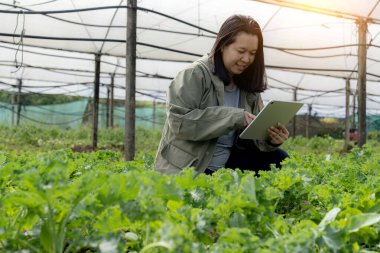 Kadın hidrofonik çiftlikte dijital tabletle çalışıyor.