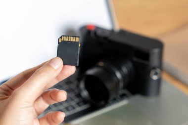 Serbest yaşam, fotoğraf makinesinden bilgisayara fotoğraf kopyalayan mutlu genç bir fotoğrafçı.