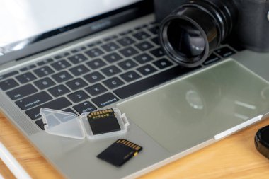 Serbest yaşam, fotoğraf makinesinden bilgisayara fotoğraf kopyalayan mutlu genç bir fotoğrafçı.