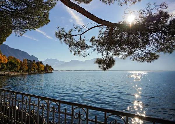 Montreux ve Cenevre Gölü 'nün panoramik manzarası, İsviçre. Yüksek kalite fotoğraf