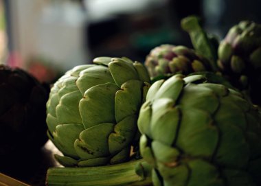 Küresel enginar yenilebilir tomurcuklar. Fransız enginarı ya da yeşil enginar tarımsal tesisi. Cynara cardunculus var. Asteraceae ailesinde scolymus. Yüksek kalite fotoğraf