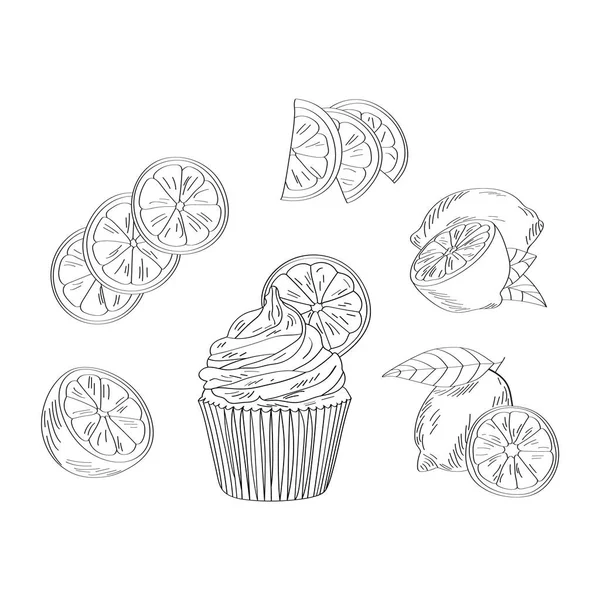 用手工绘制的蛋糕和柠檬的矢量图解 可用于版面设计 纪念品 明信片 — 图库矢量图片