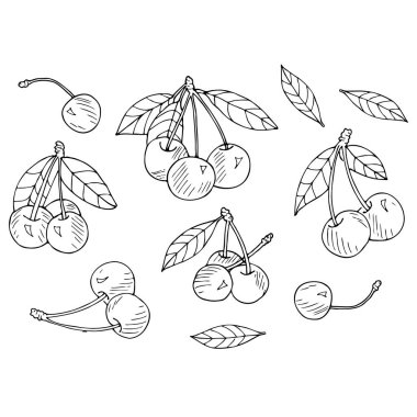 Kiraz çileği ve yapraklardan oluşan bir kompozisyon. Beyaz arkaplanda elle çizilmiş resim.