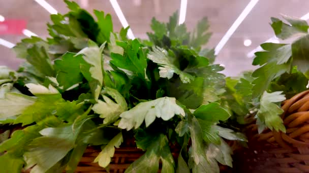 Frash Green Vegetables Vegetation Drops Water Steam Store Counter — Vídeo de Stock