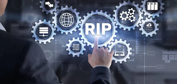 Rip Businessman Pressing Virtual Screen Routing Information Protocol Technology Networks — Stock Photo, Image