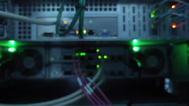 Büyük Veri Merkezi Fiber Optik Kablolar Led Port Durumu Yanıp — Stok video