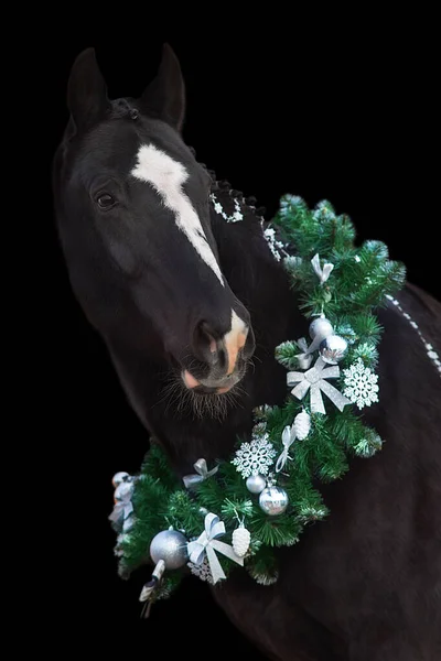 Černý Kůň Vánočním Věnci Nový Rok Vánoční Kůň Royalty Free Stock Obrázky