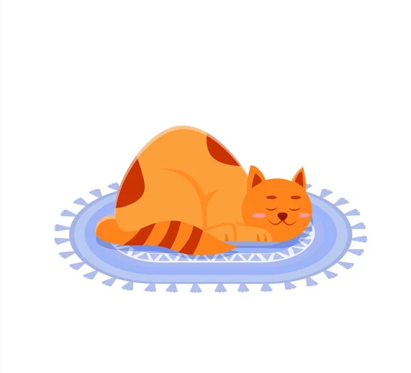 Sleeping Cat Carpet Vector Illustration Flat Design Printing Cards Posters — Stock vektor