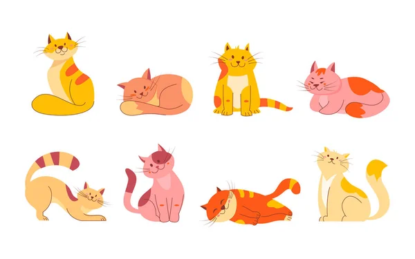 Nettes Lächeln Katzen Doodle Set Cartoon Design Sammlung Von Katzenrassen — Stockvektor