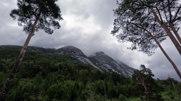 Menyusuri Jalan Berbatu Norwegia Mendengus Mendaki Berkabut Awan — Stok Video