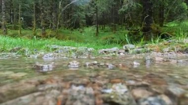 Norveç 'te yağmurda yürümek, küçük bir dereden su sıçratmak, su birikintisi