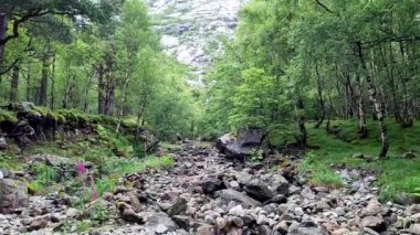 Norveç 'te kayalık bir yolda yolculuk, norge, tirmanma, sisli, bulutlu