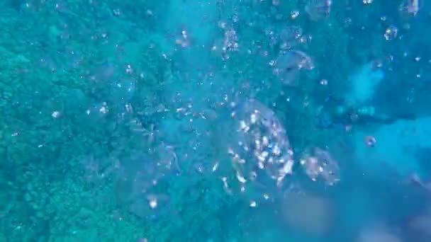 熱帯のサンゴ礁の隣の泡の壁の地面から上昇する泡 — ストック動画