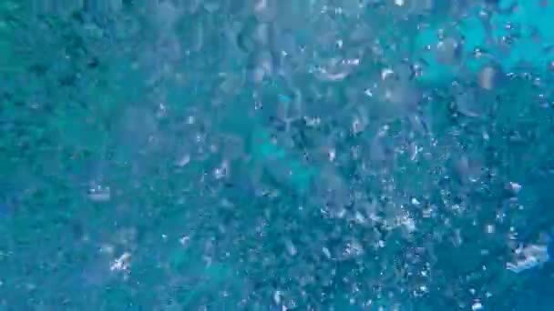 Bubbles Ascending Ground Wall Bubbles Next Tropical Coral Reef — Stock Video