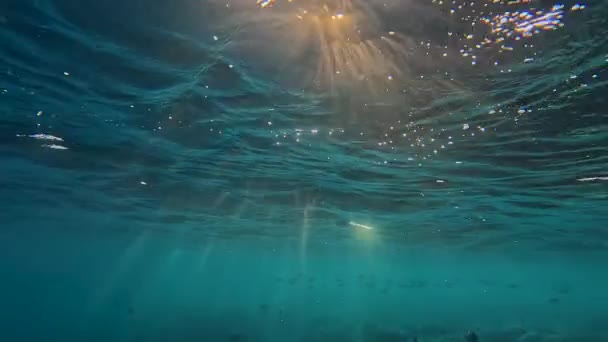 Derin Mavi Okyanusta Yükselen Bir Sualtı Büyüsünün Cazibesini Yaşayın Yüzeydeki — Stok video