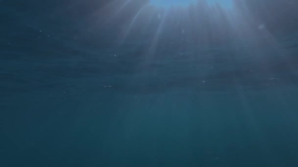 在深蓝色的海洋中 感受水下世界的魅力 捕捉水面上迷人的夕阳之舞 这个慢动作股票视频提供了一个宁静的旅程从 — 图库视频影像