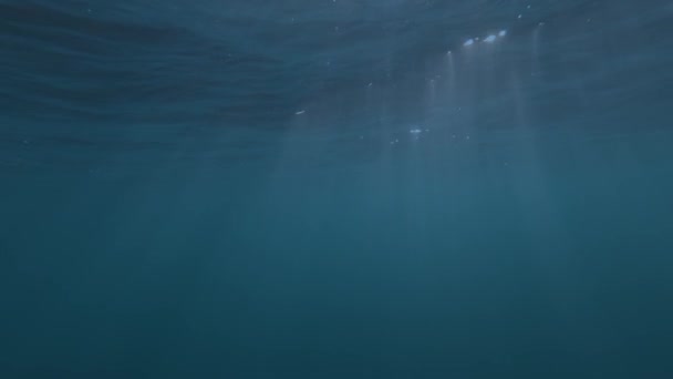 在深蓝色的海洋中 感受水下世界的魅力 捕捉水面上迷人的夕阳之舞 这个慢动作股票视频提供了一个宁静的旅程从 — 图库视频影像