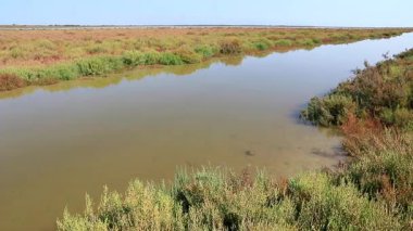 Camargue 'deki sonbahar manzarasının pas rengi bitki örtüsü arasındaki kanallar ve göller.