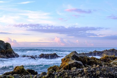 Sabahın erken saatlerinde sakin sawarna sahili ve yosunlu ama güzel kayalar.