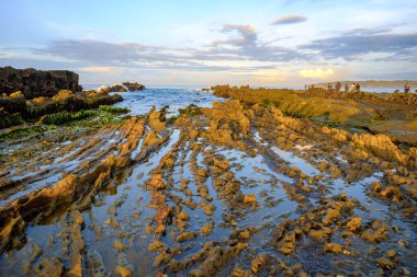 Sabahın erken saatlerinde sakin sawarna sahili ve yosunlu ama güzel kayalar.