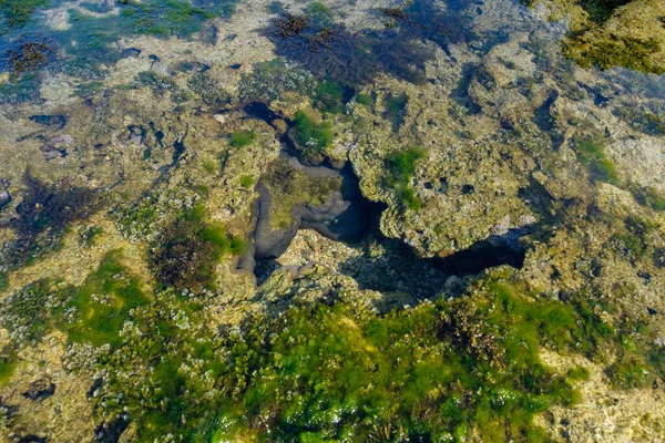 Sawarna Sahili Güzel gökyüzü ve büyük kayalar sahili süslüyor.
