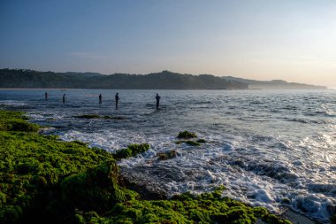 Sawarna plajı, batı Java, Endonezya, mercan resifleriyle benekli güzel plaj. 