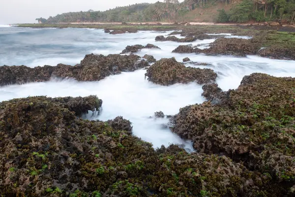 Sawarna beach,west Java,Indonesia, beautiful beach with coral reefs dotted with greenery
