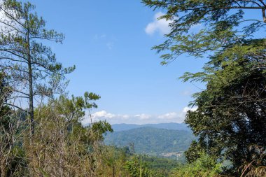 Kuningan Batı Java, manzara hala yeşil olan yemyeşil ağaçlarla çok güzel ve serin 