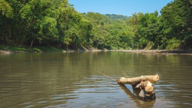 Kuningan Batı Java, sakin nehir ve yanında güzel ağaçlar. 
