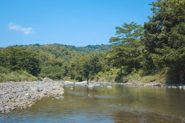Kuningan Batı Java, sakin nehir ve yanında güzel ağaçlar. 