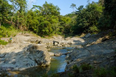 Kuningan Batı Java, sakin nehir ve yanında güzel ağaçlar. 
