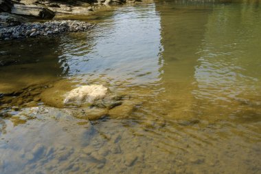 Kuningan Batı Java, sakin nehir ve yanında güzel ağaçlar. 