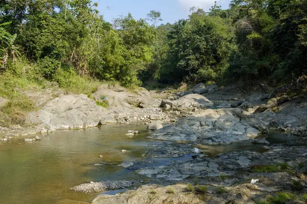 Kuningan Oeste Java Rio Calmo Acompanhado Por Belas Árvores — Fotografia de Stock