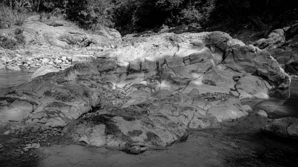 Kuningan Batı Java, sakin nehir ve yanında güzel ağaçlar. 
