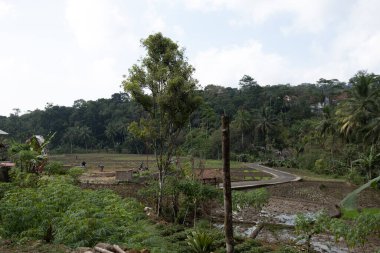Kuningan Batı Java, çağlayan şelaleleri olan güzel manzara.