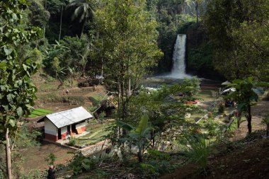 Kuningan Batı Java, çağlayan şelaleleri olan güzel manzara.