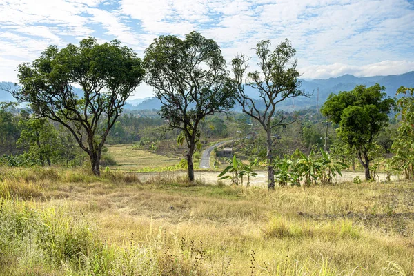 Kuningan West Java Scena Dzienna Środku Pól Ryżowych Jasnymi Niebieskimi — Zdjęcie stockowe